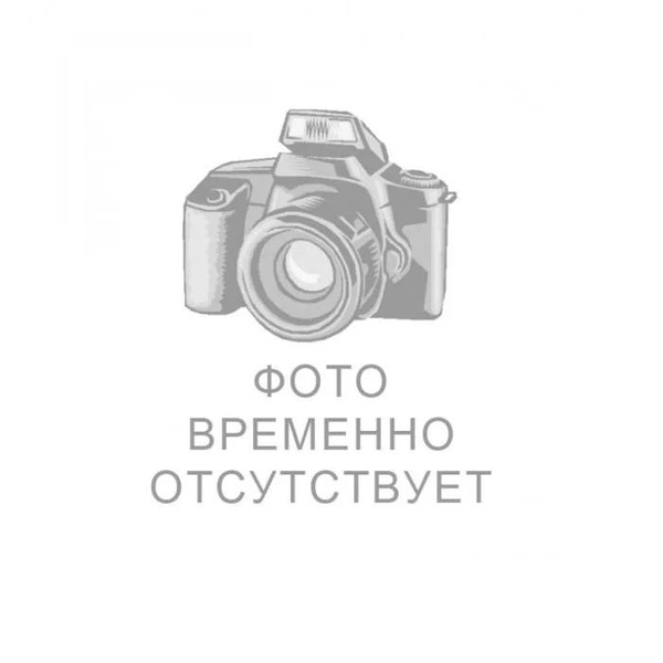 Чернецова Елена Евгеньевна.