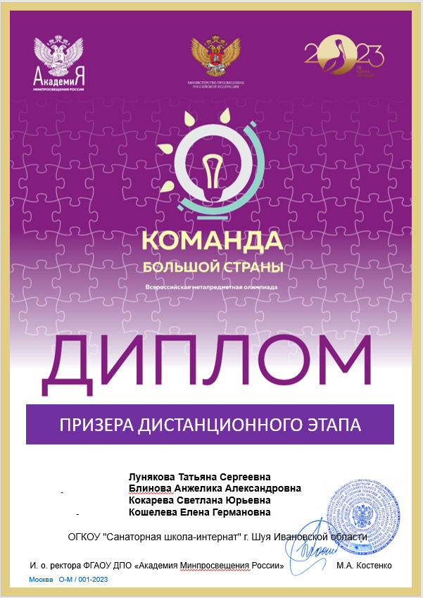 Диплом призера дистанционного этапа Всероссийской профессиональной олимпиады для учителей &quot;Команда большой страны&quot;.