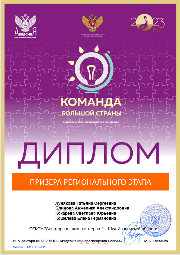 Диплом призера регионального этапа Всероссийской профессиональной олимпиады для учителей &quot;Команда большой страны&quot;.